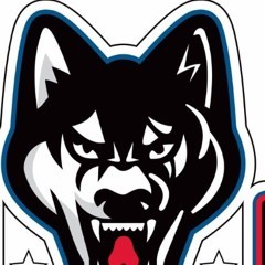 Huskies USA wolf logo